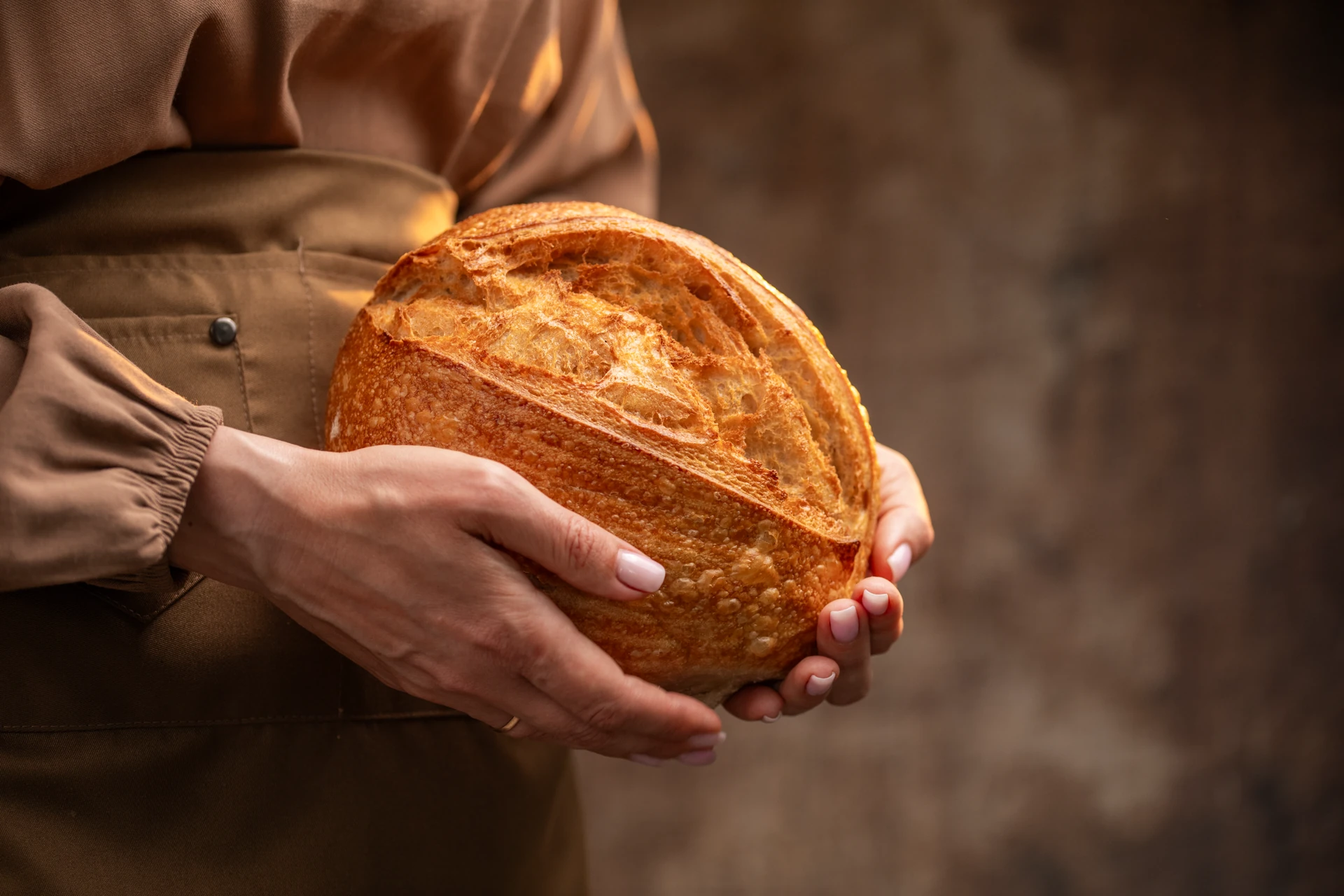 Hands holding freshly baked artisan sourdough bread with golden crust