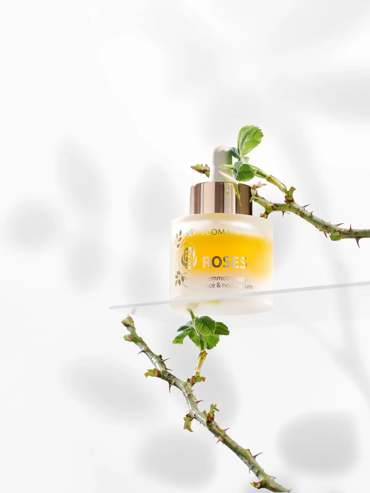 ECOMAAT Roses serum with rose branch above, suggesting growth and origin
