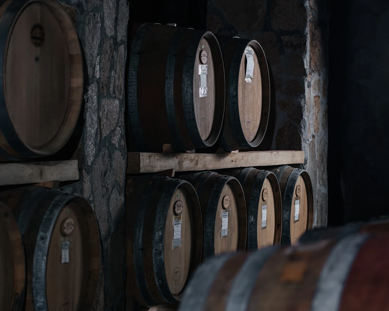 Винени бъчви, подредени в каменна изба на Винарна Вила Винифера, Пловдив, България.