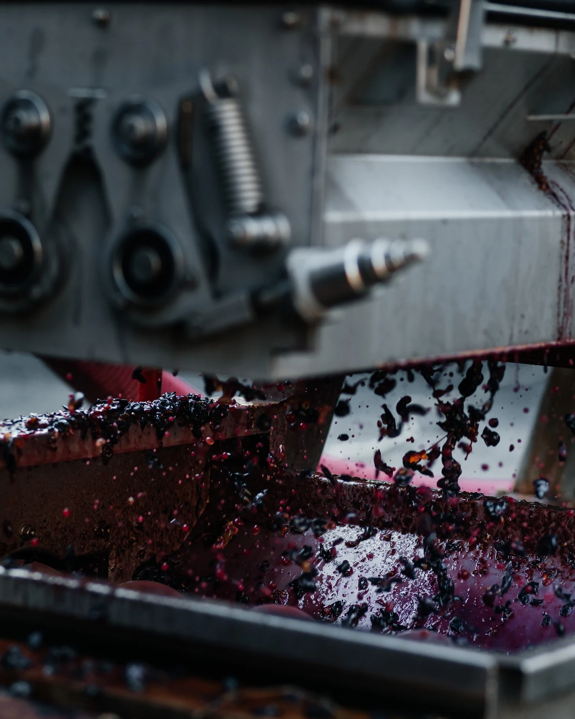 Шира, пръскаща се от машина във винарна Вила Винифера, акцентираща процеса на винопроизводство.