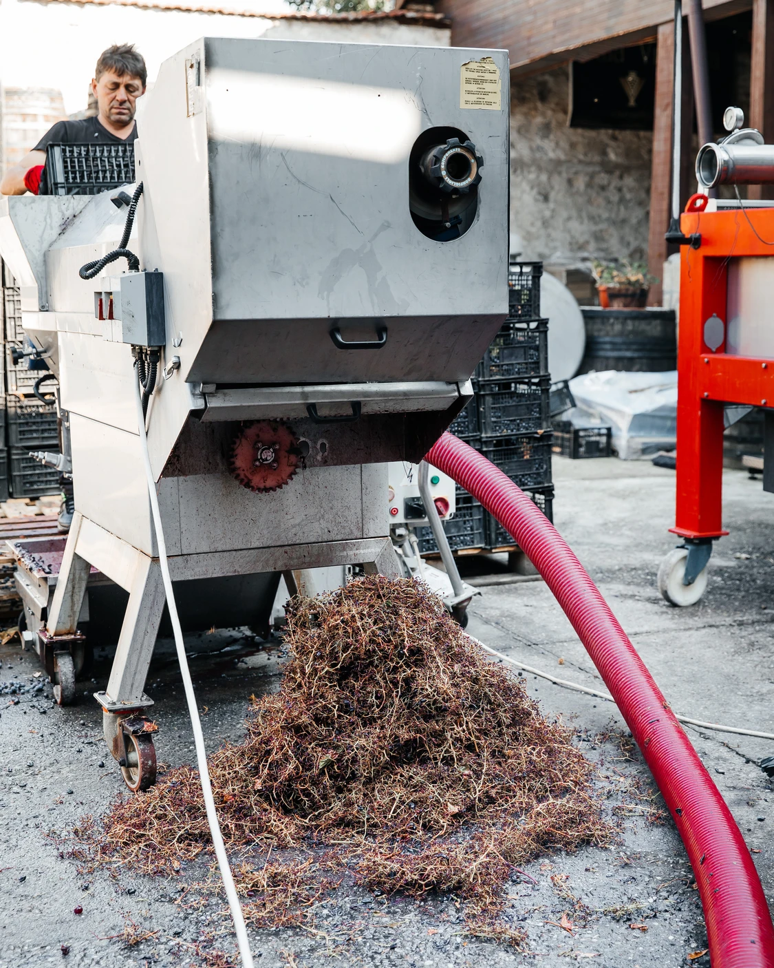 Винар обработва грозде с ронкачка във винарна Вила Винифера, Пловдив, България.