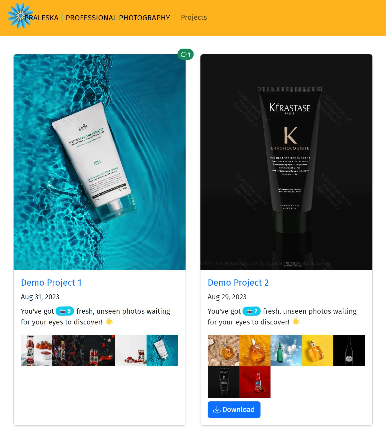 Продуктови снимки Пралеска с Lador Hydro LPP Treatment на водни вълнички и Kérastase Chronologiste; разнообразни дигитални проекти.