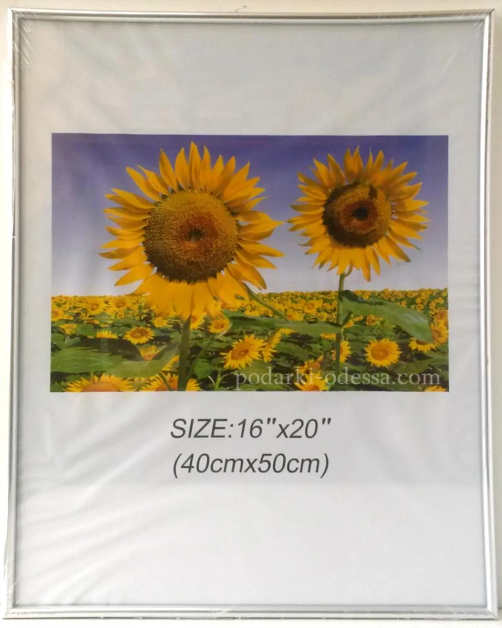 Silver 40x50cm (16x20") glass photo frame, ideal for product photography and creating floating effects.