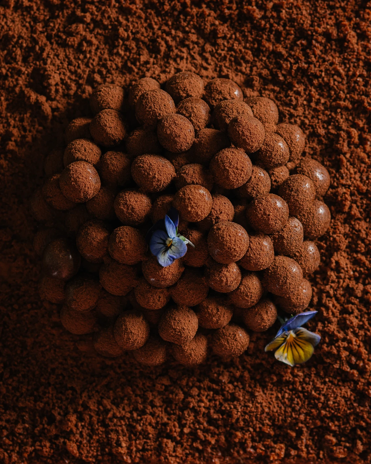 Honey cake topping with cocoa-dusted crispy chocolate balls, decorated with purple and yellow edible flowers.