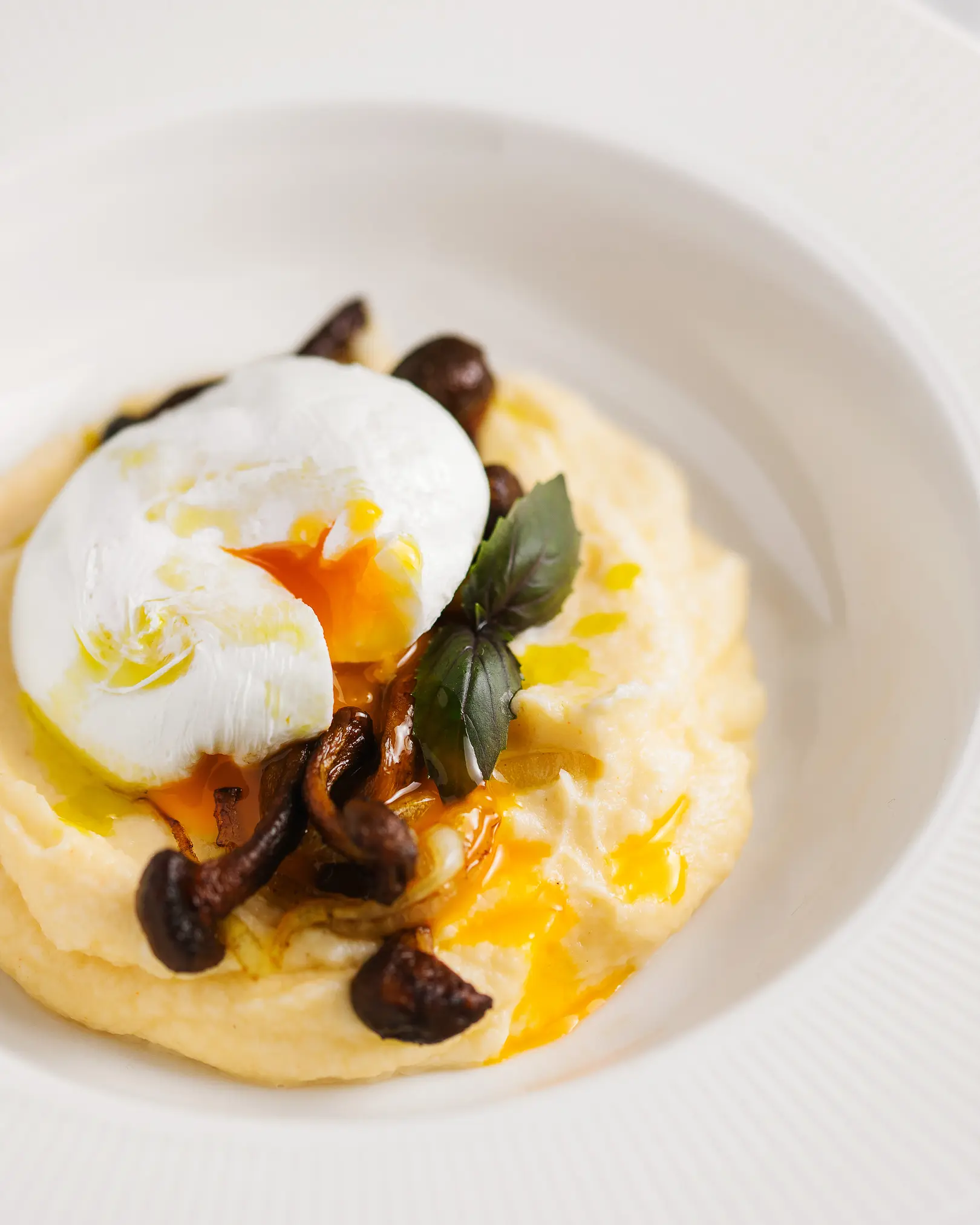 Cauliflower puree with fried honey mushrooms, runny poached egg, basil, and truffle oil drizzle.