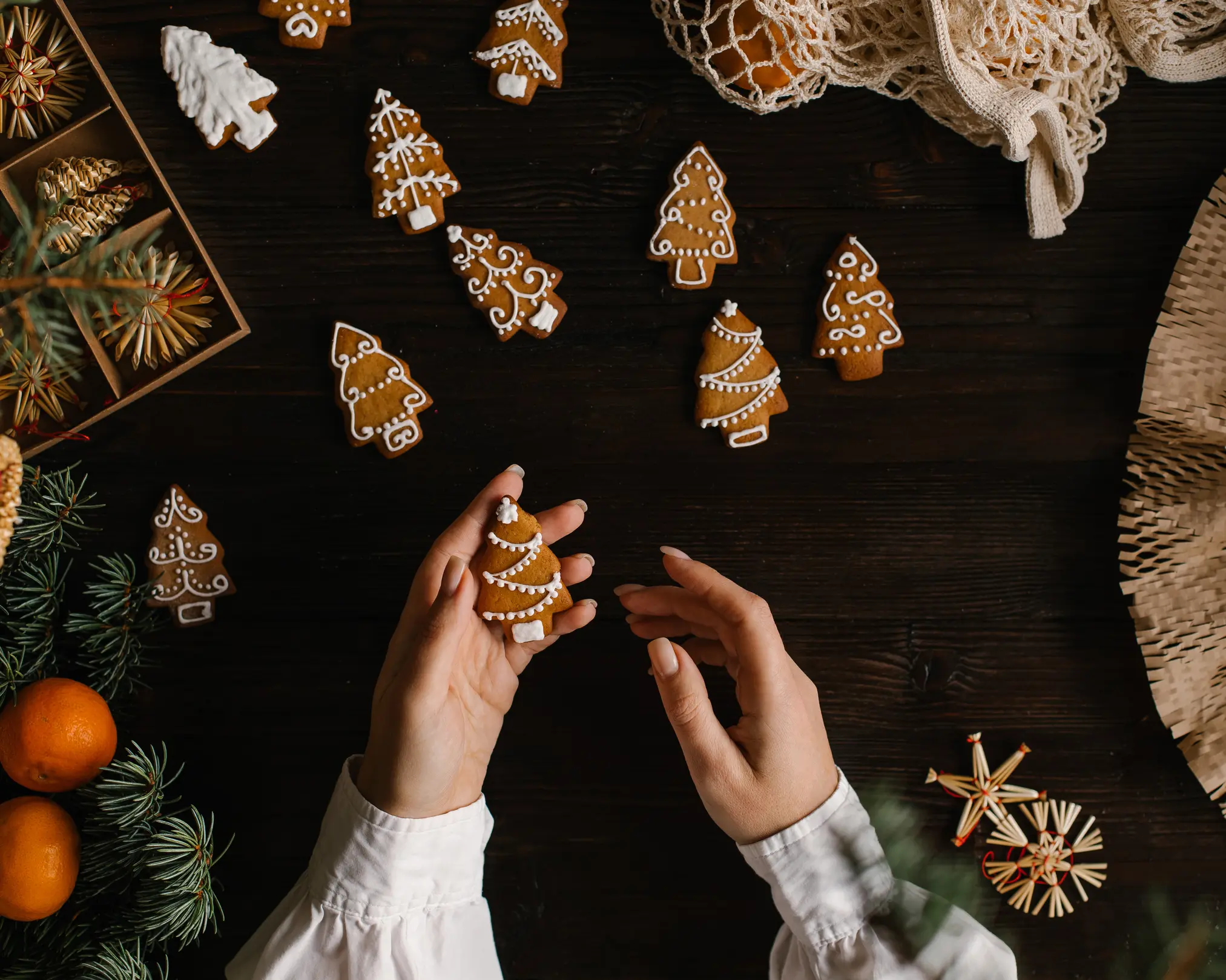 Hands holding a white-iced gingerbread Christmas tree cookie. More holiday gingerbread cookies & festive decor on wood.