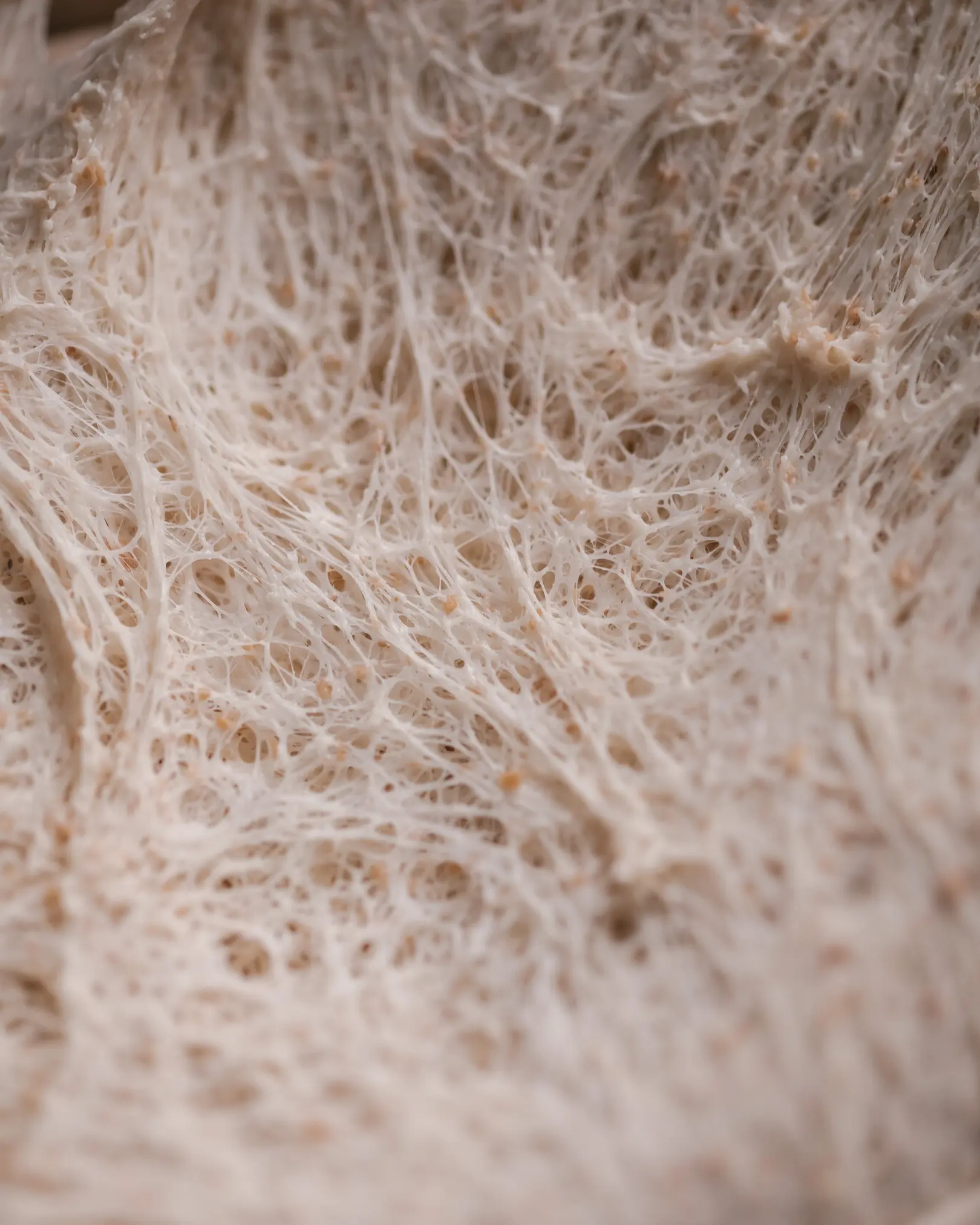 Еластично тесто за пица с развити глутенови нишки, от брашно Капуто 00 и прясна мая.