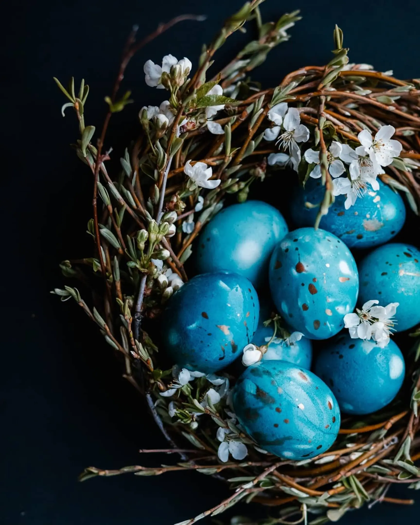 Blue Dragon eggs with gold speckles in a nest of twigs & white flowers, dyed with red cabbage.