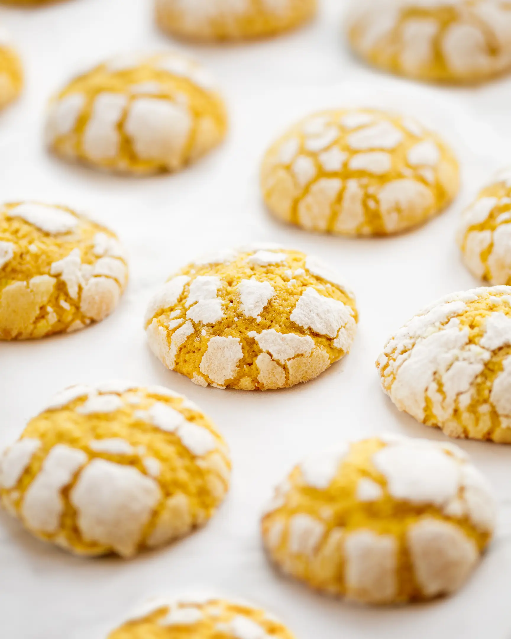 Baked orange zest cookies with perfect powdered sugar cracks, achieved by triple coating.
