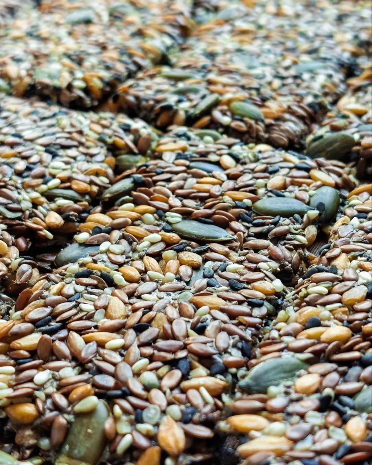 Perfect crackers with visible flax, pumpkin, sunflower, and black sesame seeds baked golden.